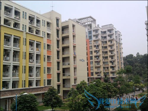 三星S5230 三星S5230