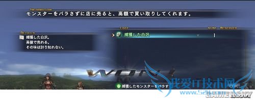 �����ǿ�_