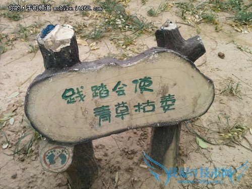 8.Nexus5——Чйо