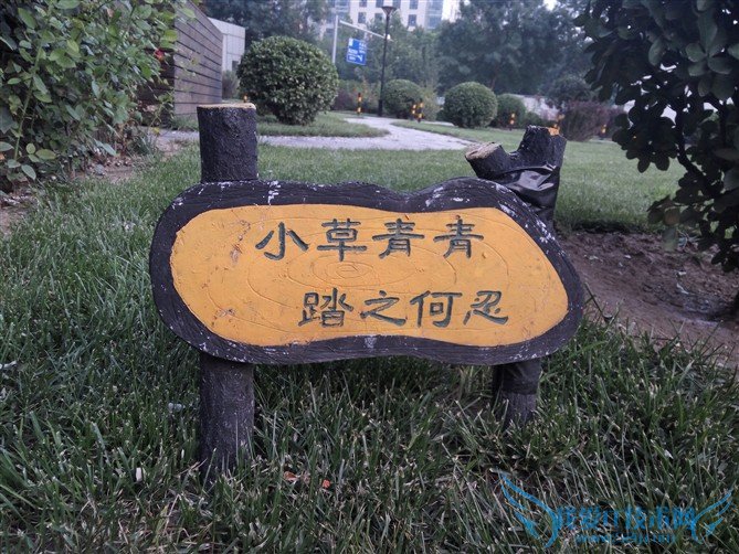 35Phone 35Phone V6 С ͼ