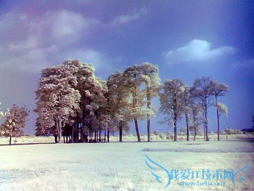 手机进行红外摄影要怎么做呢?