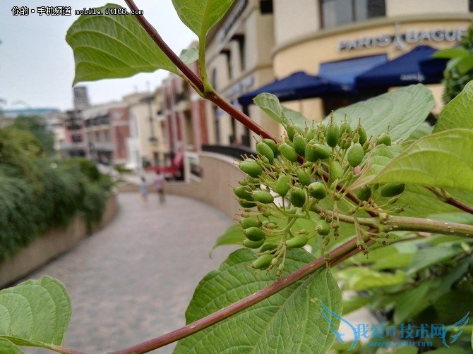 拍照体验:与P8基本持平