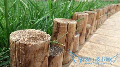   Galaxy J7 J7008 ƶ4Gֻ(ƶ4G/Ө)  ͼ