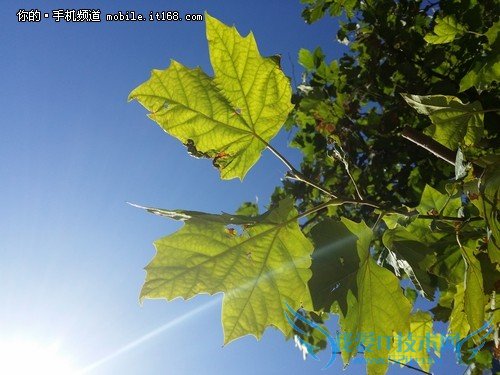 1300ؾͷ GALAXY Note3