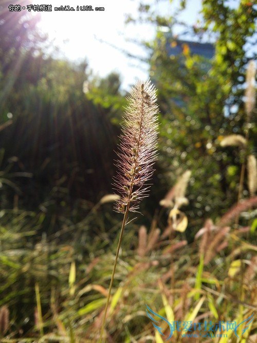 1300ؾͷ GALAXY Note3