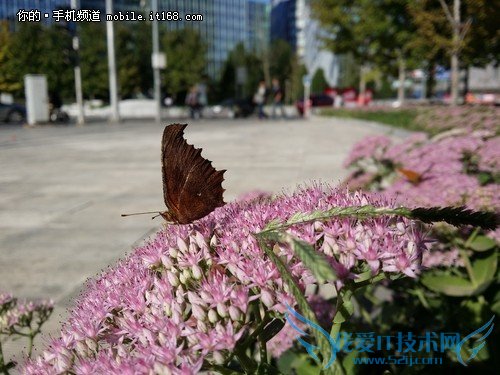 1300ؾͷ GALAXY Note3