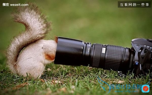 高情商的人才有的18个特质,你有吗?,互联网的一些事