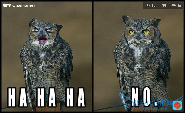 高情商的人才有的18个特质,你有吗?,互联网的一些事