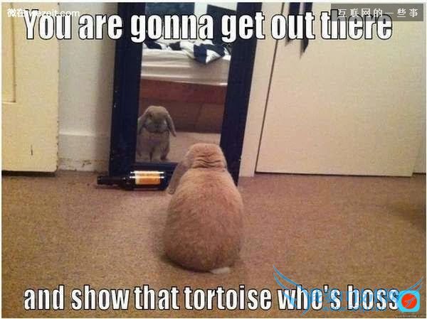 高情商的人才有的18个特质,你有吗?,互联网的一些事