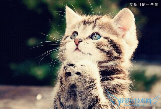 ´Ó΢ÐÅÍ·Ïñ¿´Î¢ÐÅÖ÷È˵ÄÐÔ¸ñ£¬Ò»¿´Ò»¸ö×¼£¡,»¥ÁªÍøµÄһЩÊÂ