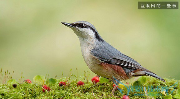 ´Ó΢ÐÅÍ·Ïñ¿´Î¢ÐÅÖ÷È˵ÄÐÔ¸ñ£¬Ò»¿´Ò»¸ö×¼£¡,»¥ÁªÍøµÄһЩÊÂ