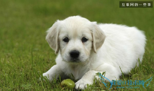 ´Ó΢ÐÅÍ·Ïñ¿´Î¢ÐÅÖ÷È˵ÄÐÔ¸ñ£¬Ò»¿´Ò»¸ö×¼£¡,»¥ÁªÍøµÄһЩÊÂ