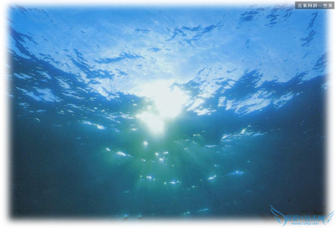 Ϊʲôܶվܸߣûɴƽ̨,һЩ