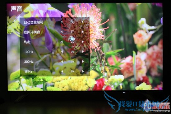 3999ͬλ޵ 17TV 55S9i