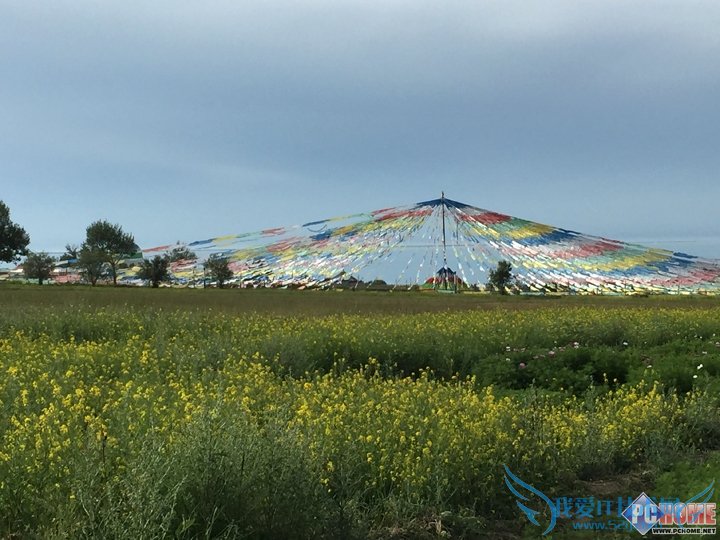 全网通+指纹识别 华为麦芒4评测