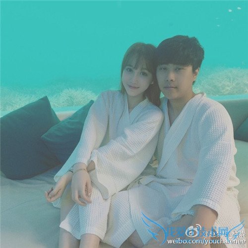 5fd43565jw1euielt0wtlj20hs0hswg7