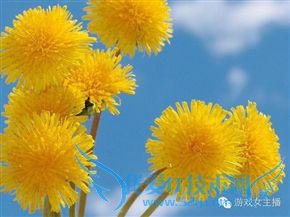 beyond the game йӾʷչع