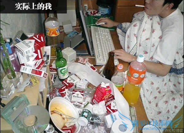 眼中体:大家眼中的IT男-卢松松博客