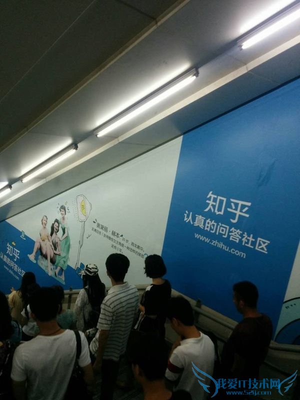 ÖªºõÎÊ´ðÉçÇø ÖªºõÑûÇëÂë ÖªºõµØÌú¹ã¸æ