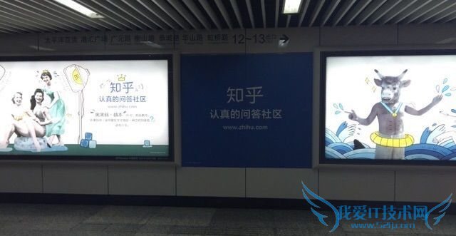 ÖªºõÎÊ´ðÉçÇø ÖªºõÑûÇëÂë ÖªºõµØÌú¹ã¸æ