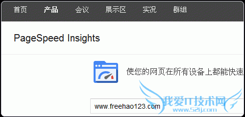PageSpeed Insights ȸվܹ