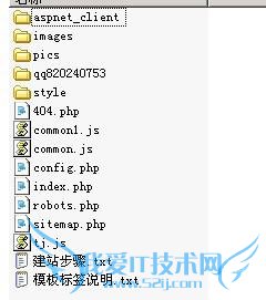 վȺ ñSEO վŻ վռ