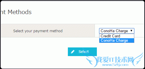 Conoha.jpѡ񸶿ʽ
