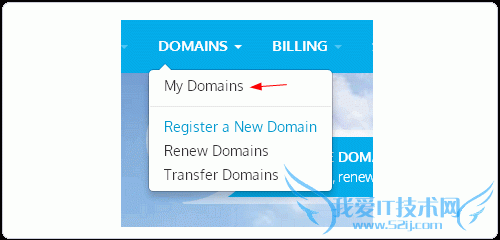 Freenom进入域名管理中心