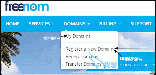 Freenom选择新域名注册