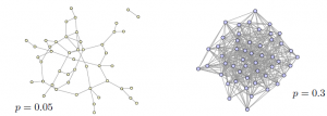 Random Networks