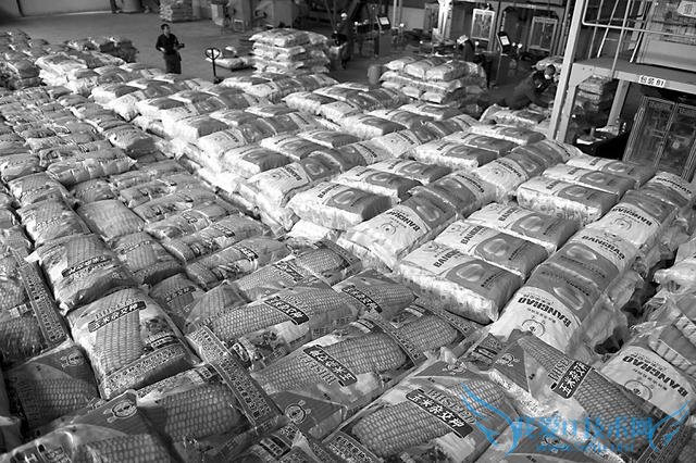 玉米价格“雪上加霜”