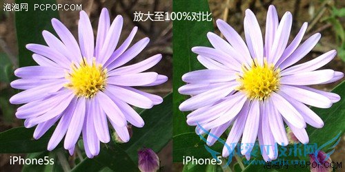 800ǿ iPhone5s/iPhone5նԱ 