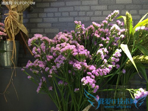 800ǿ iPhone5s/iPhone5նԱ 