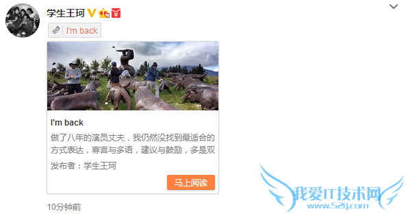 刘涛晒照穿透视装美艳动人 被赞出新高度老公发文她自带攻气