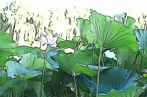 镜头素质不俗 索尼RX100II评测性能篇