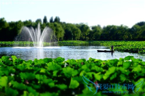 镜头素质不俗 索尼RX100II评测性能篇