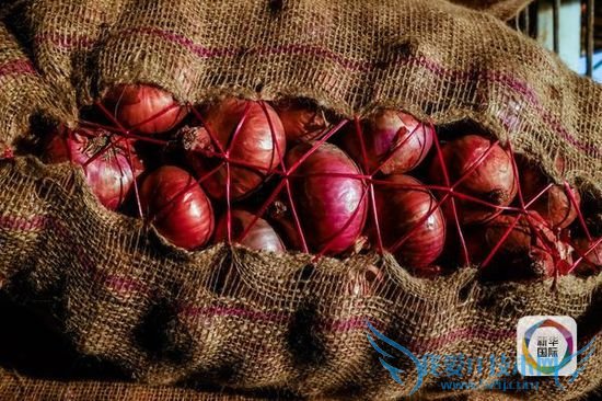 韩国统计厅4日发布的数据显示,今年年初,韩国农副产品价格涨幅较为平稳,一直保持在1%以下。但今年5月出现严重旱情后,农副产品价格开始如坐过山车一般飙升。今年6至8月,农副产品价格每月涨幅分别达4.1%、3.7%和3.4%。(图片来源:新华/法新)