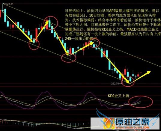 国际油价止跌反弹,国内成品油是否同步上涨?