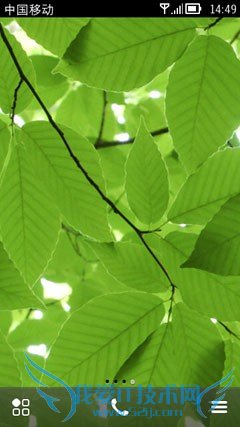 诺基亚贝拉体验