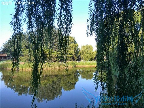 三防机身支持红外遥控 华为荣耀3评测