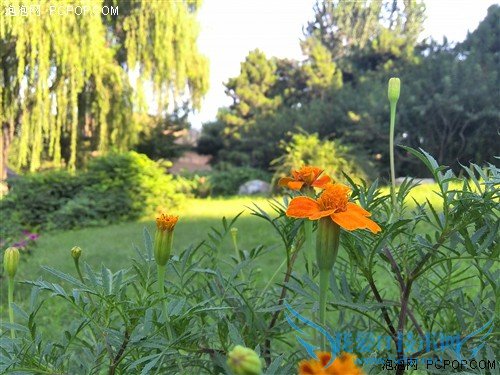 三防机身支持红外遥控 华为荣耀3评测