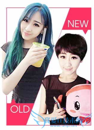 网络主播故事:田田田,一个大写的闪闪发光的逗比 网络主播故事:田田田,一个大写的闪闪发光的逗比