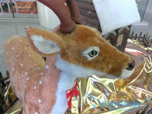 1080PֻϮ! HTC Butterfly 