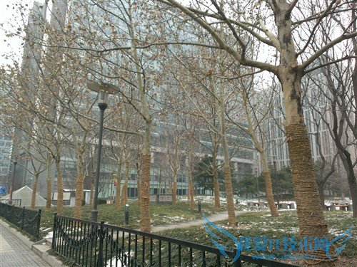 1080PֻϮ! HTC Butterfly 