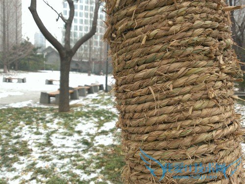 1080PֻϮ! HTC Butterfly 