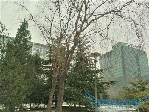 1080PֻϮ! HTC Butterfly 