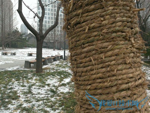 1080PֻϮ! HTC Butterfly 