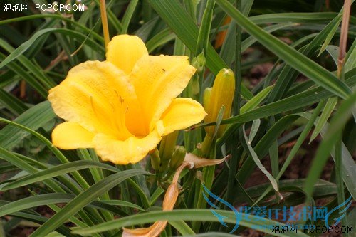 最强拍照手机 三星K zoom相机功能试玩