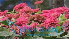 最强拍照手机 三星K zoom相机功能试玩