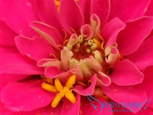 最强拍照手机 三星K zoom照相功能体验